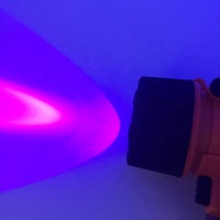 Linterna UV Flotante Impermeable de 395NM, Linterna LED UV de Alta Potencia Recargable de Mano