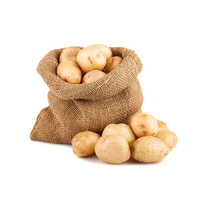 Goedkope groothandel aardappelreepjes, zachte, gezonde, diepvries frites voor feestjes