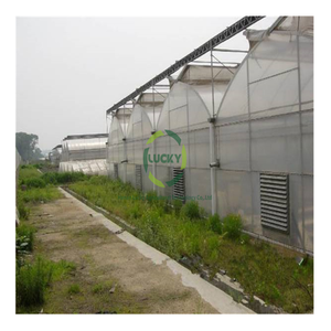 Marco de acero galvanizado para invernadero, <span class=keywords><strong>malla</strong></span> impermeable para agricultura, invernadero hidropónico, barato - Product Image 5