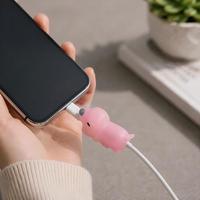 Protector de Cable de Datos de Silicona con Diseño de Dibujos Animados DR 2026, Anti-Rotura, Colores y Tamaños Personalizables para iPhone 15 Pro Max