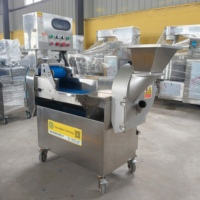Industriële multifunctionele dubbelkopige groentesnijmachine, ui- en aardappelsnijder en -dicer voor de verwerking van groenten en fruit