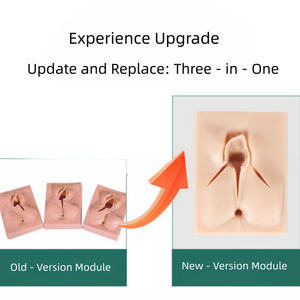 Nữ sinh sản kế hoạch gia đình PVC manikin đáy chậu bên vết rạch và vulvar rách khâu thực hành mô hình - Product Image 2