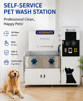 Machine de nettoyage à sec automatique commerciale en acier inoxydable avec séchage à la vapeur pour chats et chiens, machines de lavage en libre-service avec paiement