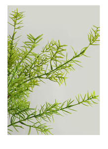 Hojas, tallos y ramas de helecho artificial, plantas tropicales, arbustos, decoración para jardín, oficina, balcón y hogar - Product Image 5