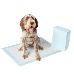 Tapis de propreté pour chiots en fibres non tissées, super absorbants, désodorisants, 5 couches, contrôle des odeurs, séchage rapide, pour l'apprentissage de la propreté des chiens et des animaux de compagnie - Product Image 1