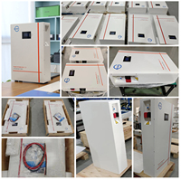 Batterie au lithium LiFePO4 Powerwall 51,2 V 48 V 100 Ah 200 Ah 300 Ah, pack de batteries 5 kWh 10 kWh 15 kWh, système de stockage d'énergie domestique avec BMS