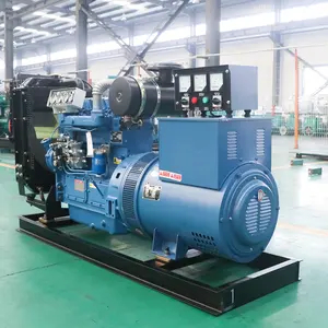 Penjualan Langsung Pabrik Generator Diesel 20Kw 30Kw 40 Kw 50Kw Generator Tenaga Diesel Ditetapkan Oleh Mesin Cummins