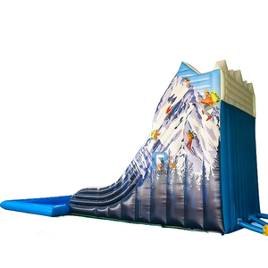 Reddy trượt nước bơm hơi lớn với hồ bơi cho trẻ em và người lớn Vật liệu PVC sử dụng thương mại trượt bơm hơi - Product Image 4