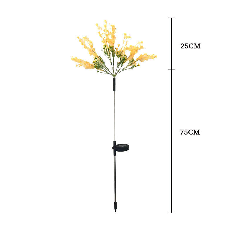 ดอกไม้ที่ถูกข่มขืน