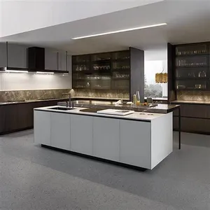 2024 nueva llegada gabinetes de cocina de diseño moderno pintura gabinetes de cocina de estilo lacado