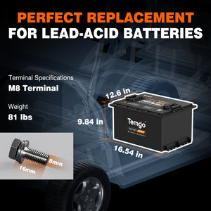 Baterai Golf Cart Lithium TEMGO 38.4 Volt 100Ah LiFePO4 dengan Casing Logam Upgrade Baru 36V, Charger 42.6V 20A, dan Monitor Aplikasi - Product Image 2