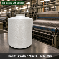 Tricotage chaîne 100 % polyester brut 75D, écologique et antibactérien, de haute qualité, personnalisé, vente en gros, fournisseur chinois, produit phare