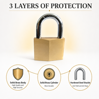Cadenas en laiton diamanté 20-60 mm, petit cadenas de sécurité pour bagages, grand cadenas de porte, cadenas à clé