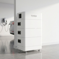 Batterie LiFePO4 à semi-conducteurs haute tension 20Wh pour Tower HV9637, empilable sans fil, 12 cellules, 6000 cycles, stockage d'énergie domestique