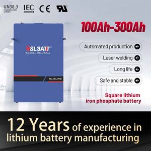 LiFePO4-batería de litio, 48V 51,2 V 300ah, 15kwh - Product Image 4