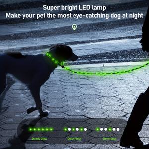 Guinzaglio per Cani LED Luminoso Personalizzato di Lusso in Nylon con Motivo Solido Ricaricabile con Impugnatura Imbottita Resistente - Product Image 1