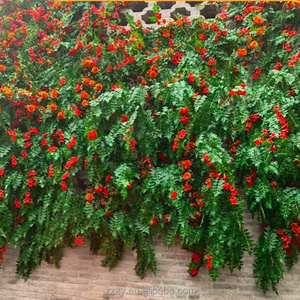 Mur de fleurs artificielles en forme de trompette pour toile de fond photo, décoration de mariage, fête, cour et aménagement paysager - Product Image 4