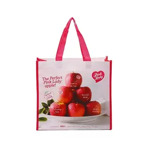 Wholesale Recyclable Handled spunbond lamination nonwoven tote bag bolsas laminated non woven tote bag with colorful printing