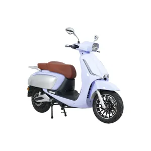OEM kundenspezifisch Farbe leichtes Bleisäure-Elektro-Scooter Erwachsene günstiges Elektromotorrad Ckd für indischen Markt