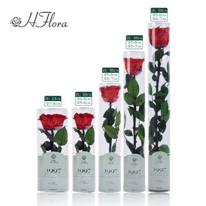 وصل حديثًا زهور زهرة طويلة وحافظة على جذع طويل وورود أوستن محفوظة بلمسة حقيقية لتزيين ترتيب الزهور - Product Image 1