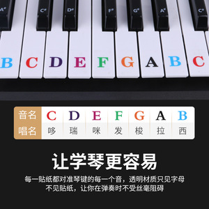 Keyboard Piano <b>Key</b> Sticker Transparent Note <b>Labels</b> For Learning Music 886154 - Product Image 1