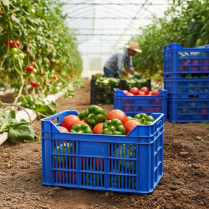 KE 950 Full Perforated Food Grade Plastic <b>Crate</b> Heavy Duty Stackable Industrial Storage Agriculture Harvest Use Recyclable - Product Image 3