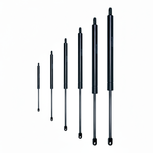 C 450 Course F 200 N CYLINDRE OLÉOPNEUMATIQUE (VO45/020) - Product Image 1