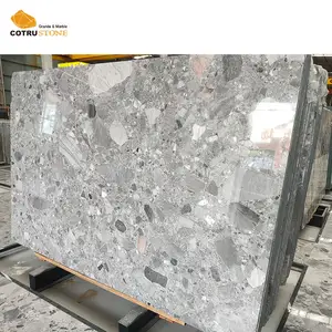 New Arrival Chinese Cheap Special Natural Terrazzo Stone Fossil Grey Marble Slabs Gray Pandora For Indoor Wall Panels