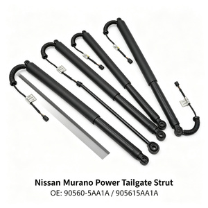 Amortiguador de Puerta Trasera 905615AA1A para Nissan <span class=keywords><strong>Murano</strong></span> Pathfinder, Piezas de Uso Común - Product Image 4