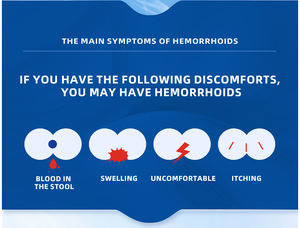 20 جم مرهم البواسير العشبي الطبيعي ، مرهم البواسير الخفيف وغير المهيج مع إضافات غير ضارة - Product Image 4