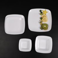 Assiettes jetables carrées - Petites assiettes à apéritif Assiettes à dessert/salade blanches de qualité supérieure Parfaites pour les mariages et les fêtes