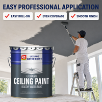 Peinture murale intérieure Lixiang, résistante aux alcalis et imperméable, gris clair, haute couvrance, application au pinceau, pure