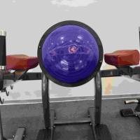 Appareil Commercial d'Entraînement des Abdos Réglable avec Support Genoux et Bras Rembourré, Cadre Métallique pour Musculation et Renforcement Corporel