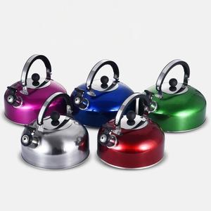 Press type Coffee Pot Thermal Water