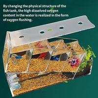 Aquarium carré lumineux à 4 compartiments, écologique et mignon, pour petits poissons Betta, idéal pour le salon – Le choix des influenceurs