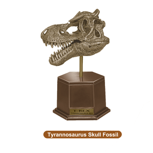 En plastique Dinosaure Tyrannosaure Tête De Crâne De Dinosaure pour Enfants Jouets - Product Image 1