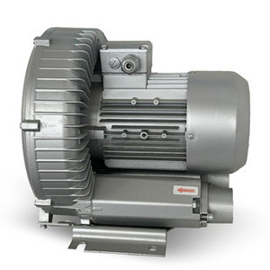 Souffleur annulaire haute pression monophasé 0,75 kW/0,83 kW à prix abordable pour équipement industriel - Product Image 4