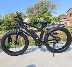 E-Bicycle Fett reifen Electric Covered Road Hybrid Fett reifen Mountain Dirt City Bike E-Bike Elektrischer Fett reifen Fahrrad