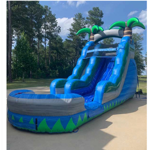Doul Lanes Water <strong>Slides</strong> <strong>Swimming</strong> <strong>Pool</strong> Water <strong>Slides</strong> Inflatable for Kids and Adults Inflatable <strong>Slide</strong> - Product Image 5
