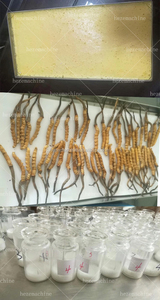 Meilleure Qualité 10kg 15kg Lyophilisateur Alimentaire Séchage Lyophilisateur Machine Prix pour La Maison Avec <span class=keywords><strong>Pompe</strong></span> <span class=keywords><strong>À</strong></span> Vide Sans Huile Usa En Stock - Product Image 2