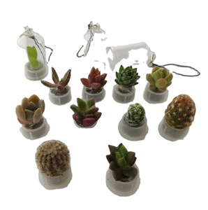 Portachiavi a Forma di Pianta Succulenta Imitazione Baby Alive, Cactus <span class=keywords><strong>Cellulare</strong></span>, Animale Domestico in Miniatura - Product Image 1
