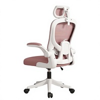 Chaise de bureau ergonomique compacte pivotante avec accoudoirs relevables et dossier en maille respirante pour le bureau à domicile – Vente en gros