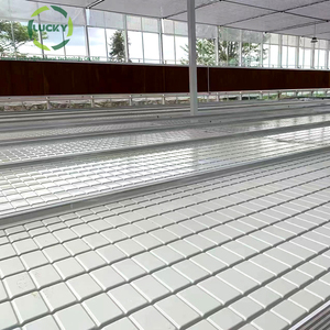 <span class=keywords><strong>Table</strong></span> d'inondation <span class=keywords><strong>de</strong></span> haute qualité plateaux <span class=keywords><strong>de</strong></span> culture bancs roulants hydroponiques flux serre agricole lit <span class=keywords><strong>de</strong></span> semences - Product Image 1