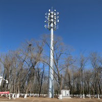 Tour de télécommunication monopode en acier sans fil CDMA WiFi, prix compétitif usine