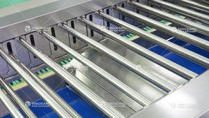 OG-606 Multi-Sử Dụng Con Lăn Học Sinh Lớp Cam Bơ Khoai Tây Cà Chua Trái Cây Rau Phân Loại Và Phân Loại Máy - Product Image 4