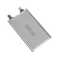 OEM ODM Pouch Lithium Polymer Cell DTP383559 3.7V 800mAh Baterai Lipo Isi Ulang Ukuran Kustom untuk Perangkat Elektronik Pintar