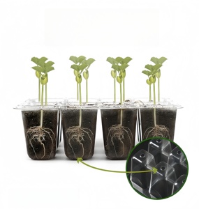 Plateaux de culture en PET pour <span class=keywords><strong>semis</strong></span> avec dôme haut et base profonde, écologiques et respirants pour jardin domestique - Product Image 5