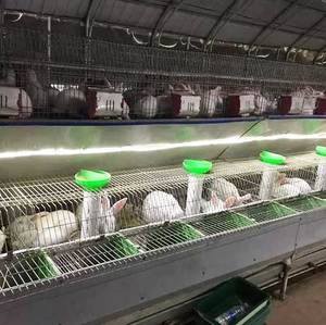 Elevage Cages à lapins en plein air femelles à trois couches Kenya Cage à lapins fermes fil Cage à lapins vente en Naira nigérian - Product Image 3