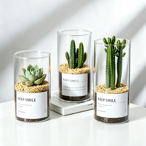 Tanque de Almacenamiento de Varios Tamaños, Cilindro para Plantas, Botella Hidropónica para Suculentas, Florero de Vidrio Transparente para Decoración del Hogar y Sala de Estar - Product Image 3