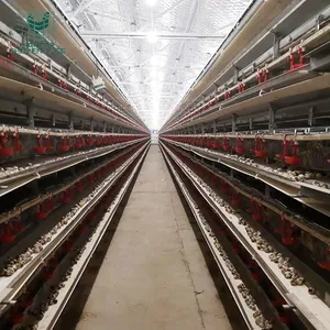 Caille d'agriculture de haute qualité, équipement Commercial entièrement automatique, Type H de batterie, système de Cage pour les cailles à vendre au nigéria